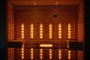 radiant health saunas revit files