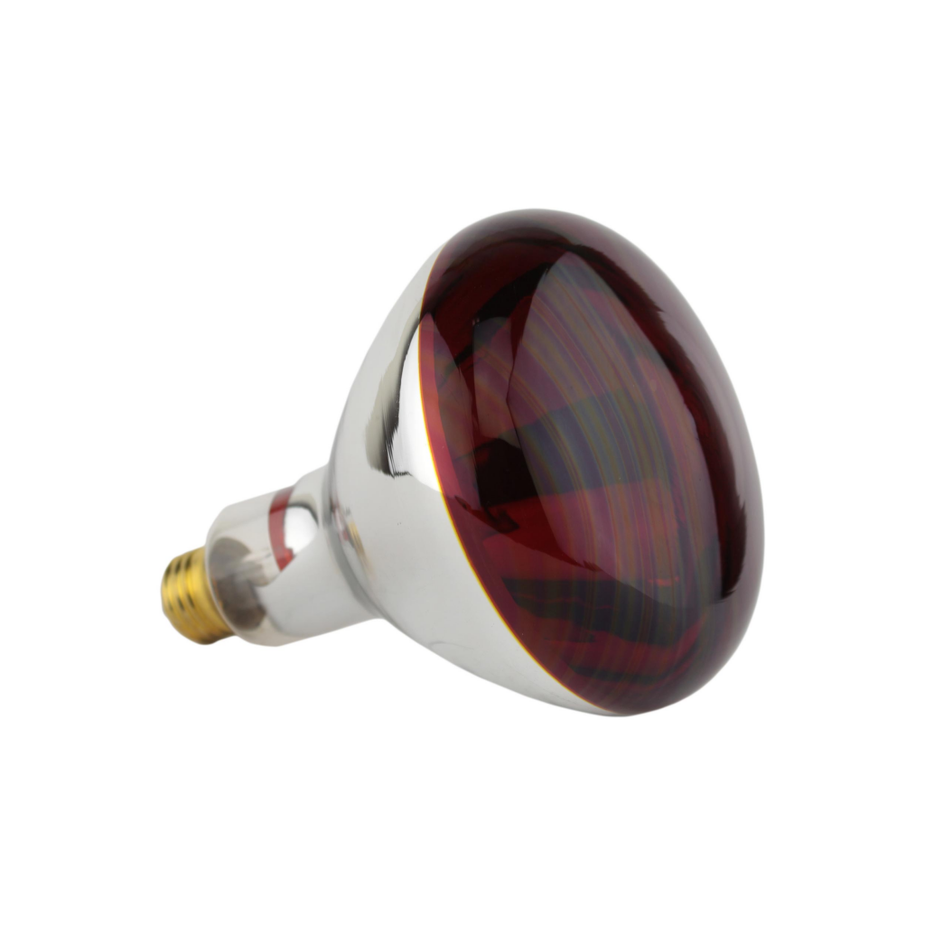 Best Bulbs for NearInfrared Sauna Certified